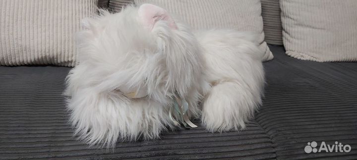 Мягкие игрушки Кот и Пёс