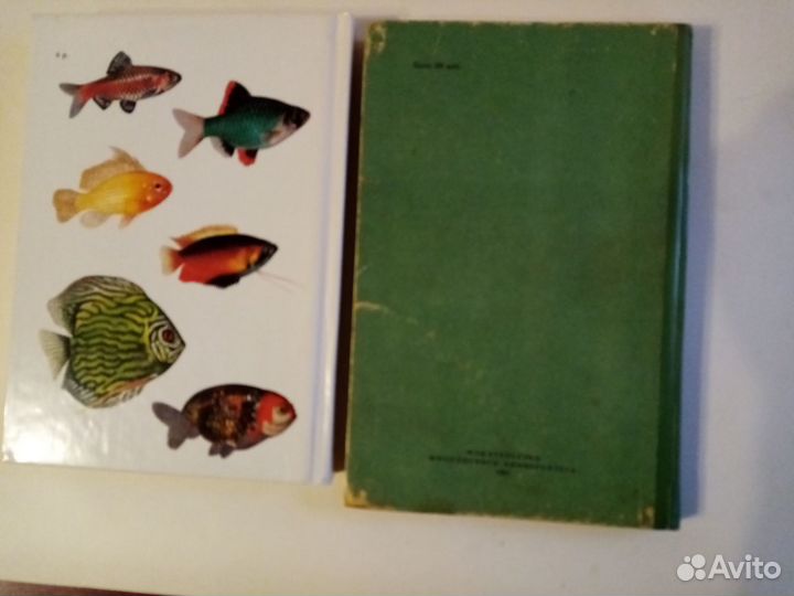 Аквариумные тропические рыбы. Комнатный аквариум