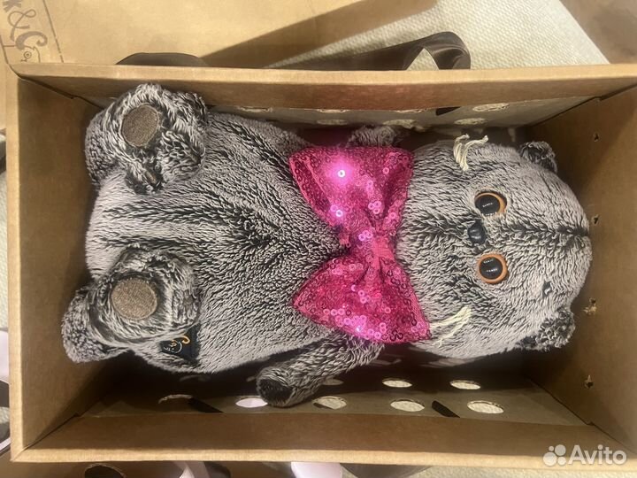 Кот Басик и Лили