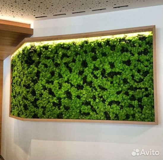 Панно из мха мох стабилизированный фитокартина фит