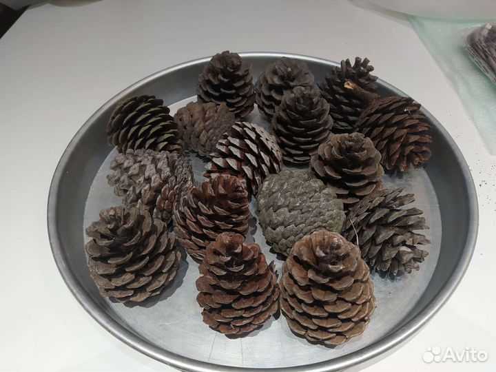 Крупные подарочные шишки