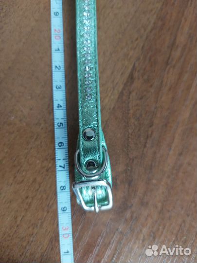 Ошейник для собак отдам