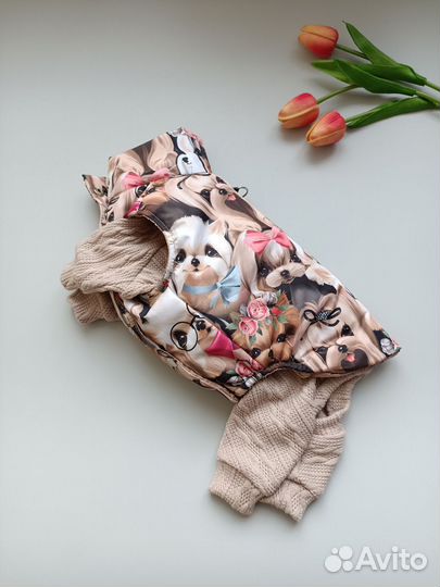 Пошив одежды для собак. Дожевик для собаки