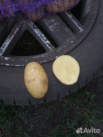 Картофель с доставкой