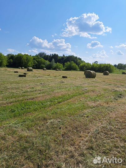 Сено, солома-2023 г укос