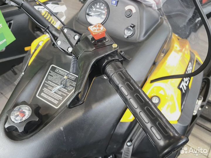 Снегоход Tiksy 250 люкс витрина