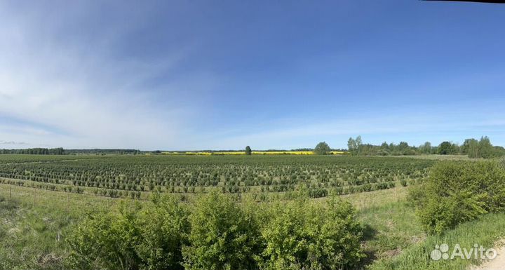 Сельхозка уступка