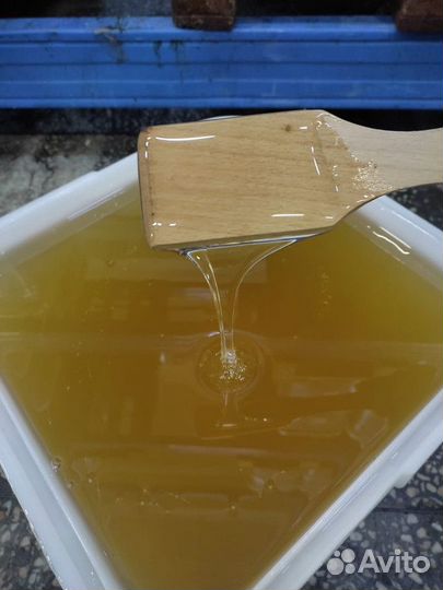 Эспарцетовый мёд оптом Свежий