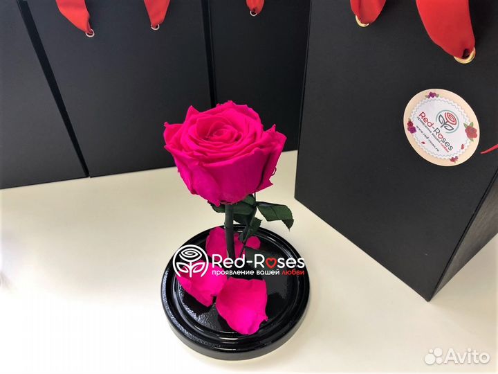 Роза в колбе Премиум