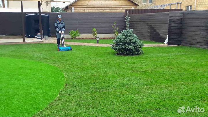 Укладка газона
