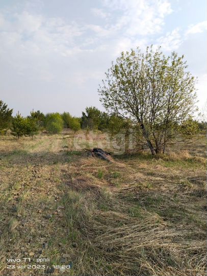 Участок 15,1 сот. (личное подсобное хозяйство (лпх))