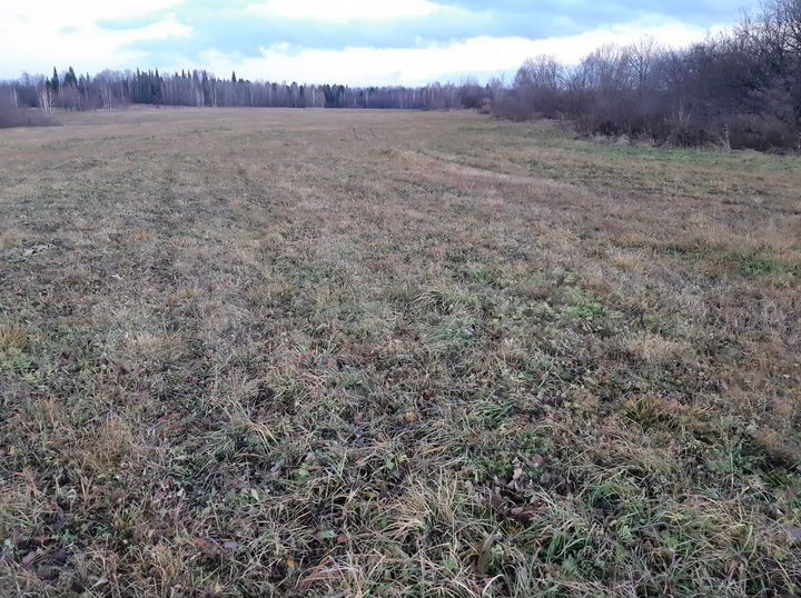 Участок 7,97 га (СНТ, ДНП)