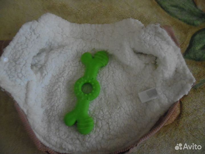 Курточка и игрушка для собаки за шоколадку