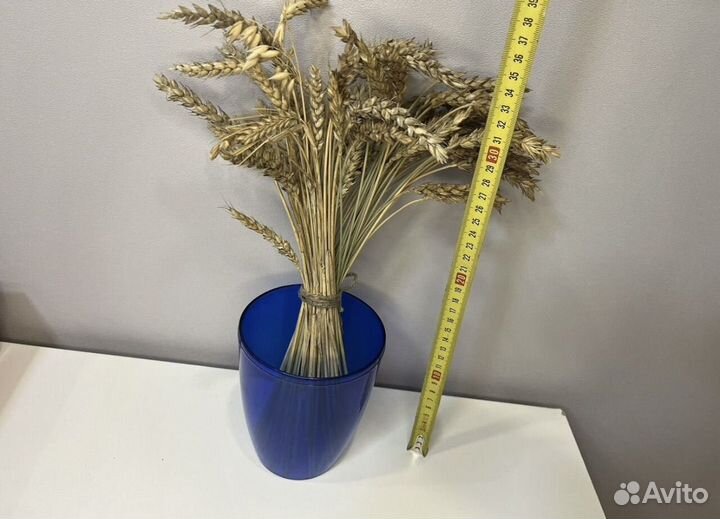 Сухоцветы пшеница колосья