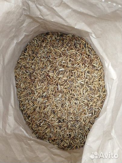 Лакомство для грызунов Черная Львинка сушеная