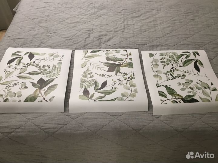 Набор постеров