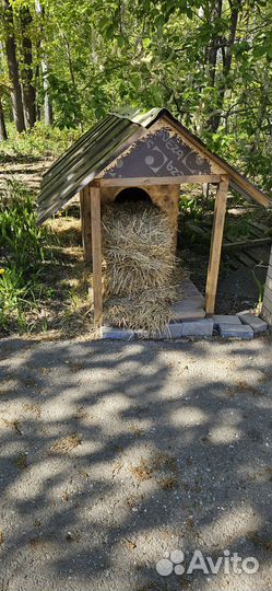Будка для собаки в дар
