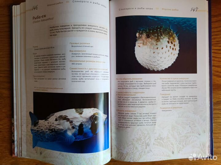 Морской аквариум Тристан Логер