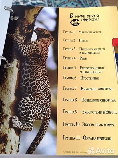 Книги художетвенные,учебники,детская литература