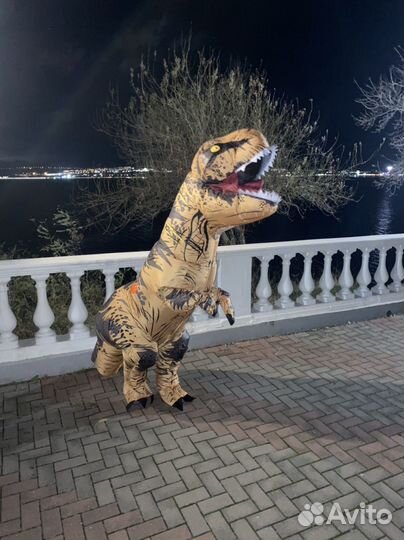 Поздравления,Аренда:Мишки Тедди, кот Василий