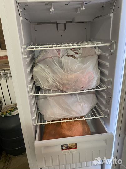 Морозильник