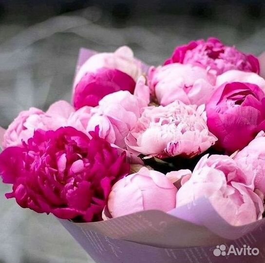 Пионы Букет пионов