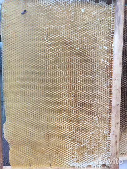 Продам сушь