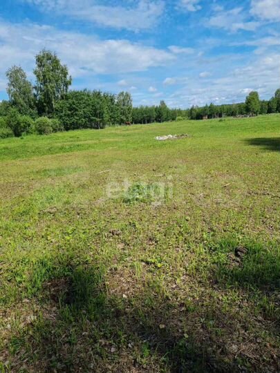 Участок 19,7 сот. (СНТ, ДНП)