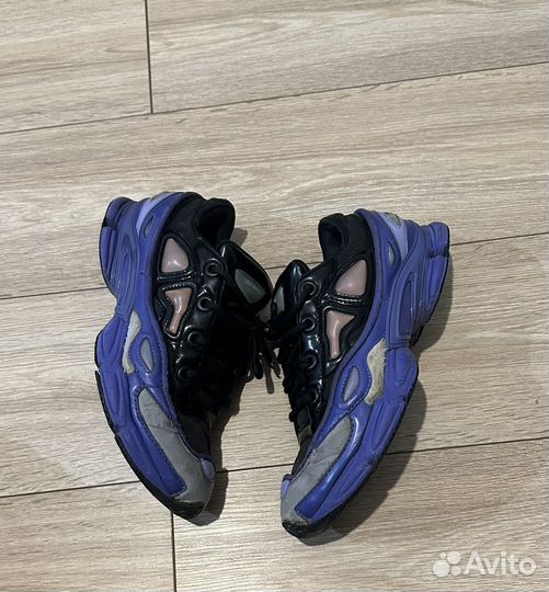 Raf simons ozweego 3