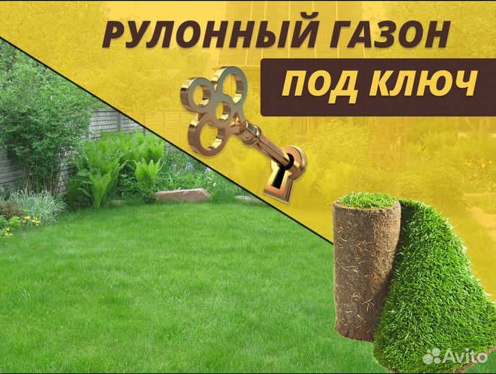 Газон рулонный Элитный