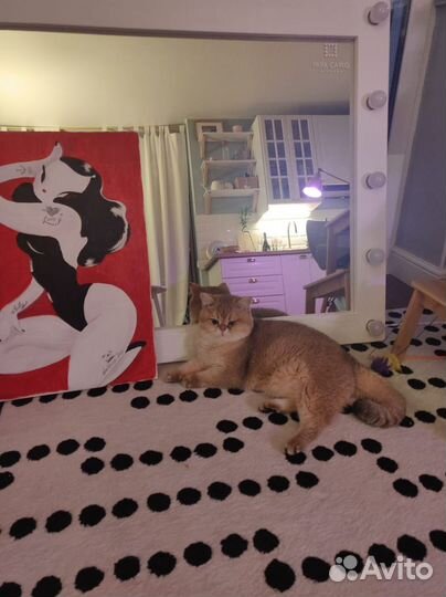 Гримерное зеркало с лампочками