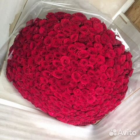 Розы красные 201 шт Шикарный букет Розы