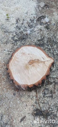 Слэбы, спилы, пеньки, столы