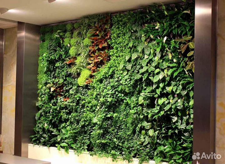 Искусственные растения / фитостены