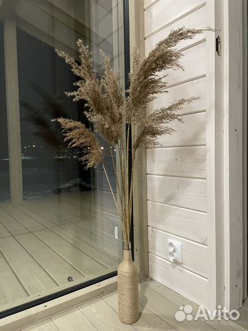 Пампасная трава