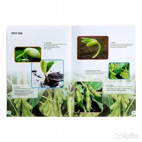 Набор для опытов 'Наука о растениях', 16 опытов