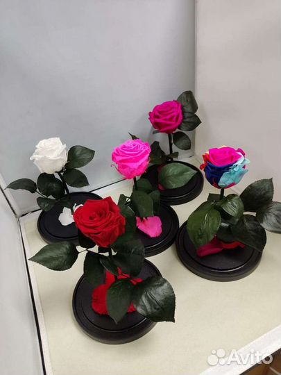 Подарок маме / Роза в колбе