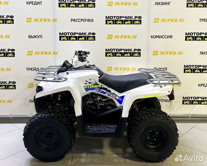 Квадроцикл Bison Hammer 200L Winch