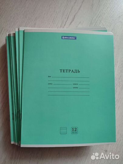Тетради в частую косую с добавочной линию 12 л