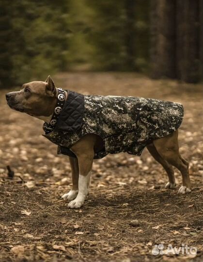 Куртка для собак крупных пород