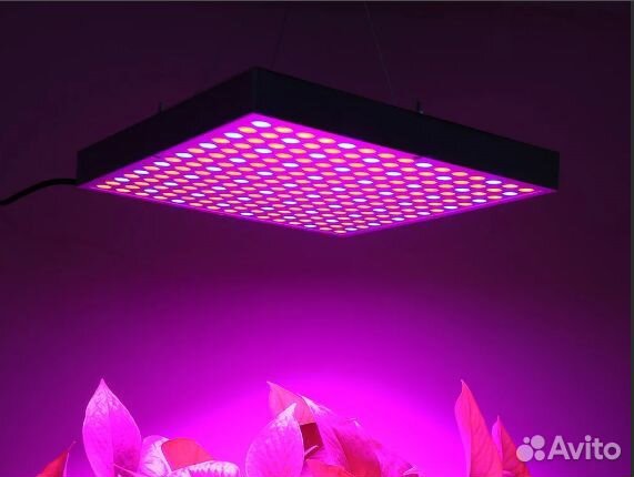 Фито лампа для растений