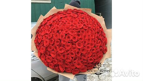 101 Красная роза. Доставка цветов Сочи/Адлер