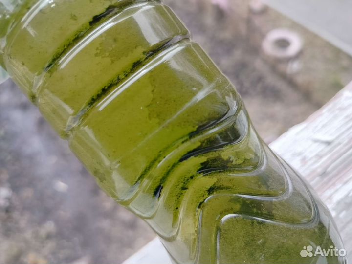 Трентеполия водоросли, удобрение, корм