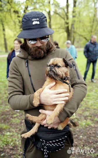 Кинолог. Специалист по коррекции поведения собаки