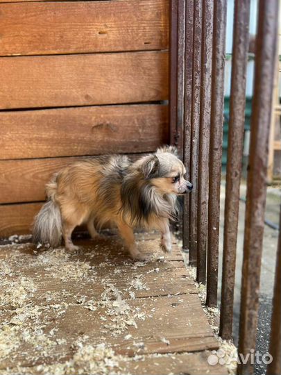 Малыша сдали в приют