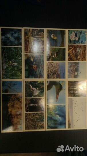 Открытки СССР