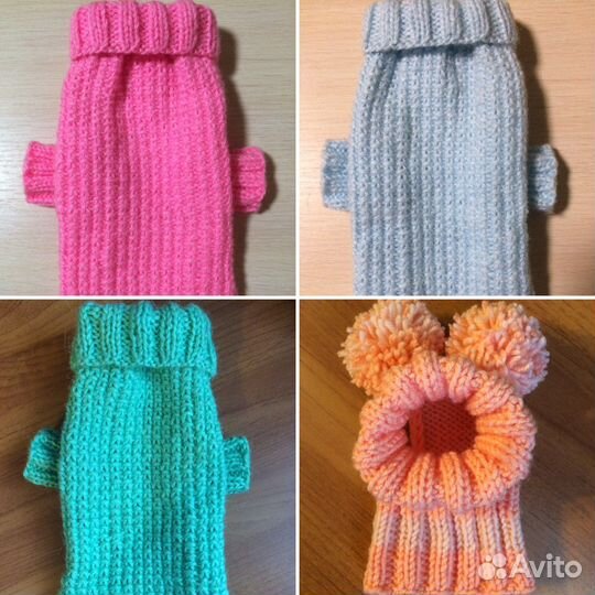 Одежда для животных