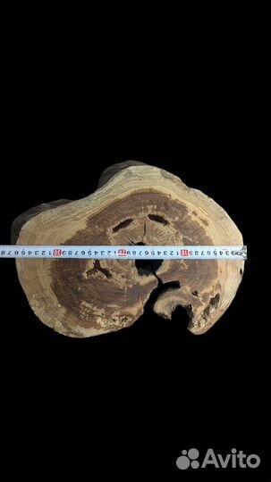 Спил абрикоса для заливки