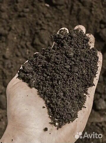 Грунт для озеленения