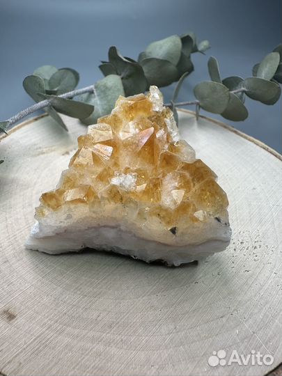 Друза Цитрина